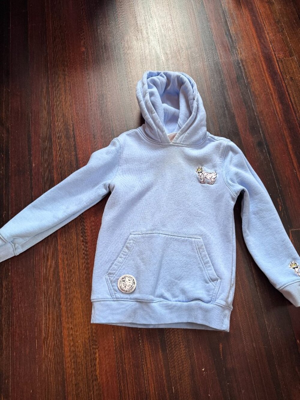 GOAT USA Youth Medium Light Blue Sweatshirt